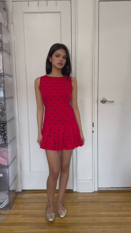 lola ladybug dress
